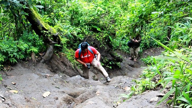 Jalur Hiking Pendakian Bukit Kaba