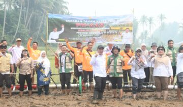 gerakan tanam padi serempak menggunakan metode Pertanian Modern Advance Agriculture System (PM-AAS)