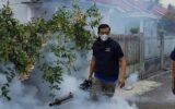 PMW Melakukan fogging atau pengasapan di kawasan Kelurahan Tasik Malaya, Kecamatan Curup Utara