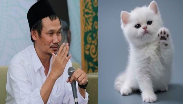 Gus Baha Ungkap Keistimewaan Kucing